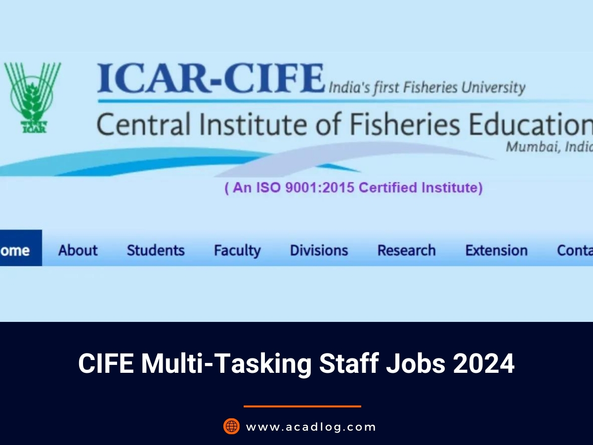 CIFE Multi-Tasking Staff Jobs 2024